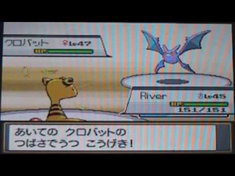 心臓金--38--体育館概観: ジャニンAnzu