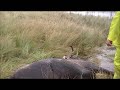 Moose Hunting 2011