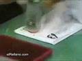 Fastest-stamping-eve