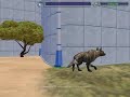 HyaenodonExhibit HyaenodonExhibit