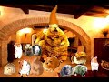 Affuso the mousy hamster