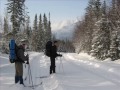 Mont-Jacques-Cartier