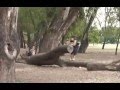 3Run - Nathan Barris Showreel 2008