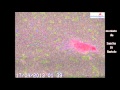 Etna, attivit&agrave; stromboliana dal nuovo cratere di sud-est