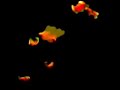 butterflies loop