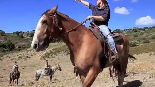 Vidéo - La Corse à Cheval