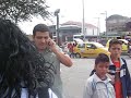 ASQUEROSA COMERCIALIZACION DE MASCOTAS PARTE 2