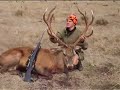 Open season deer hunting in Australia