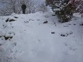 Wheeee Tiggie
