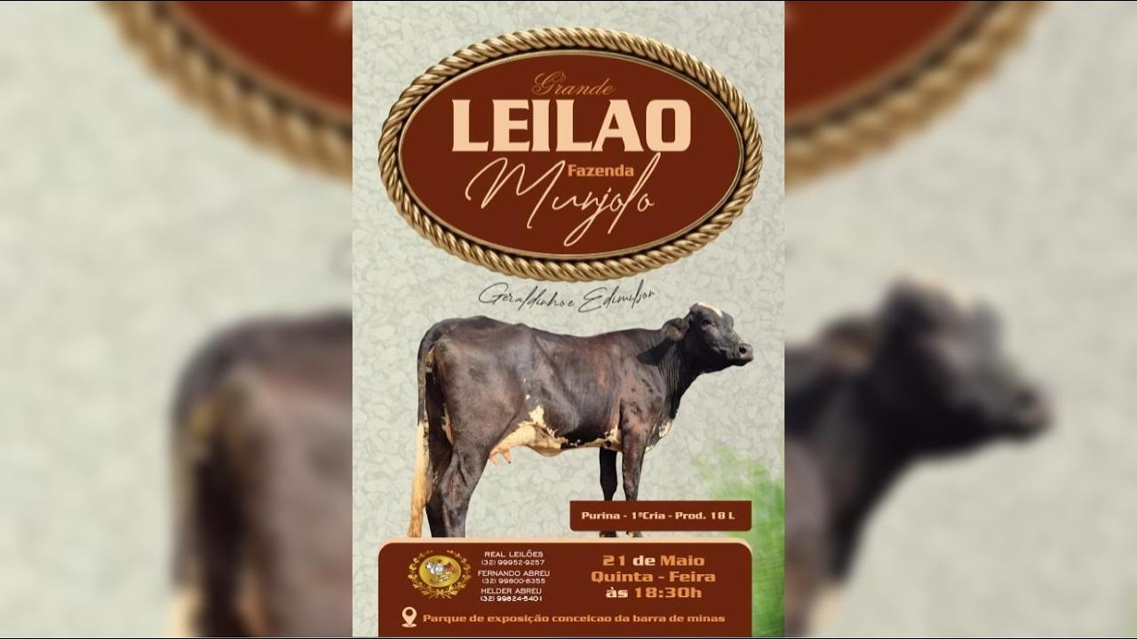 GRANDE LEILÃO FAZENDA MONJOLO  - GERALDINHO E EDMILSON - CONCEIÇÃO DA BARRA DE MINAS/MG - 21/05/26