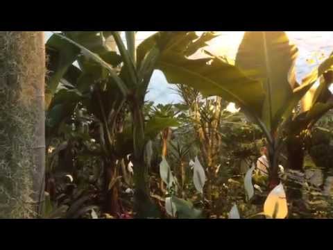 Hamm Maximilianpark - Schmetterlingshaus im Maxipark in Hamm