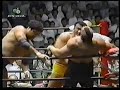 The Road Warriors?vs. Tsuruta?Wajima?1987?