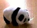 超音波パンダ　supersonic wave panda!