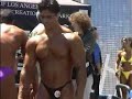 Bodybuilder Tamer Elshahat Bodybuilder Tamer Elshahat