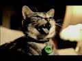 video-gag-avec-des-chat-2.html