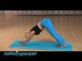 Downward Dog