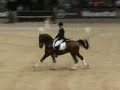Michal Rapcewicz - Randon Fest der Pferd Grand Prix  Samsung