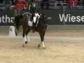 videos de Michal Rapcewicz - Randon Fest der Pferd Grand Prix  Samsung