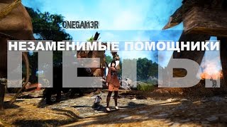 Black Desert Online - ПЕТЫ - Незаменимые помощники! Black Desert Online - ПЕТЫ - Незаменимые помощники!