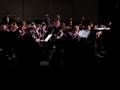 Divertimento by Cichy (first 3 movements)