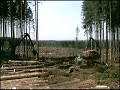 Timberjack Film1