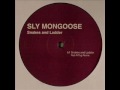 Sly Mongoose - Snakes And Ladder (Rub N Tug Remix)