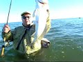 Baffin Sow For Sow Trout