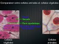 Cellules, ADN et unité du vivant II)A) part 1 Cellules, ADN et unité du vivant II)A) part 1