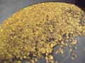 Cariboo gold