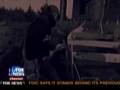 Obama or McCain, Responsible for Freddie/Fannie meltdown
