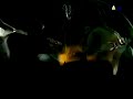 Jake Mandell & Jeffers Egan: Crusty effluvia
