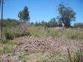 videos de Terreno Próximo al Aeropuerto. Ganar Tiempo y dinero con un Punto Estrategico es su obligación