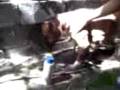 videos de bañando a la chucha
