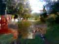 videos de el_pango