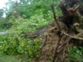 Hurricane Gustav02