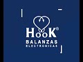 Hook Electronics Scales