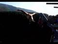 videos de Bungee Jauntal BY m_TijA