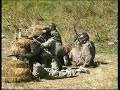 Commando - Les 2 Alpes