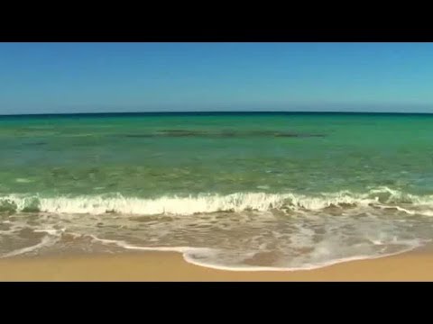 video-show