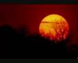 Amanecer en Africa