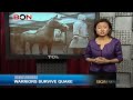 MEDIA WATCH Nov. 9