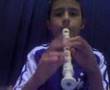 EL GALLO TOCANDO EL AHUALULCO