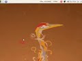 Ubuntu Web Server Install