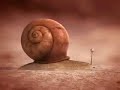 Snail dreaming about speeding vs Juno reactor