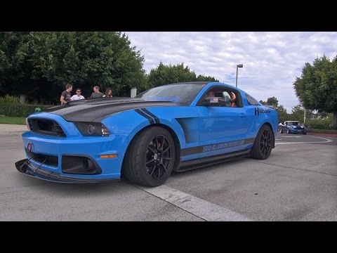 shelby