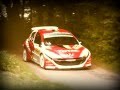 Best of Barum rally & Star rally 2008 - IRC