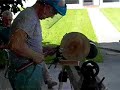 Woodturning in Miami