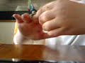 how to nollieflip FINGERBOARD