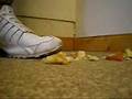 apple meets me nike shox