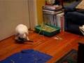 Princess helping to clean